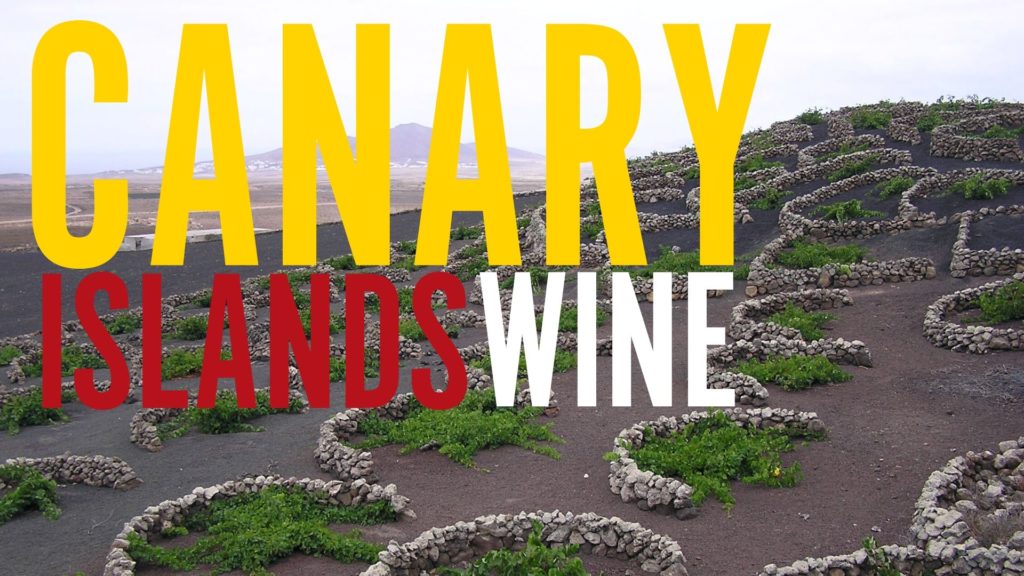 canary islands wine