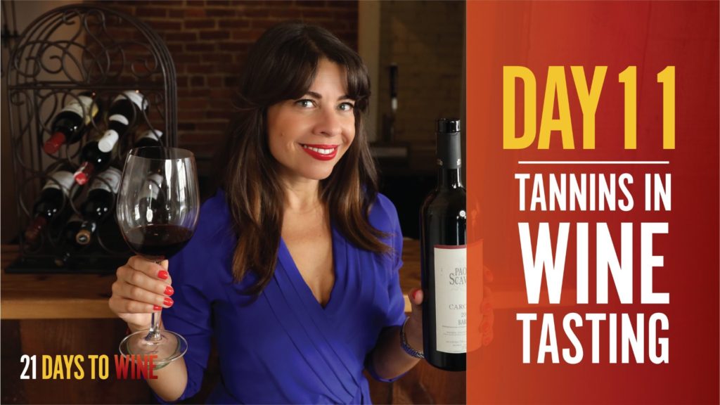 what are tannins in wine