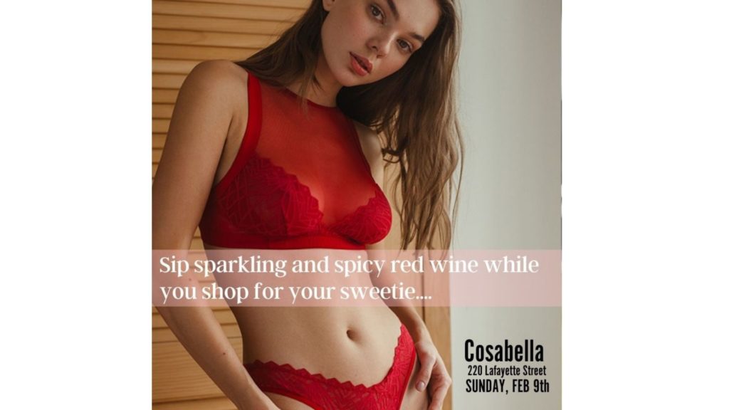 Valentine’s Day Wine Tasting and Panty Pairing with Cosabel