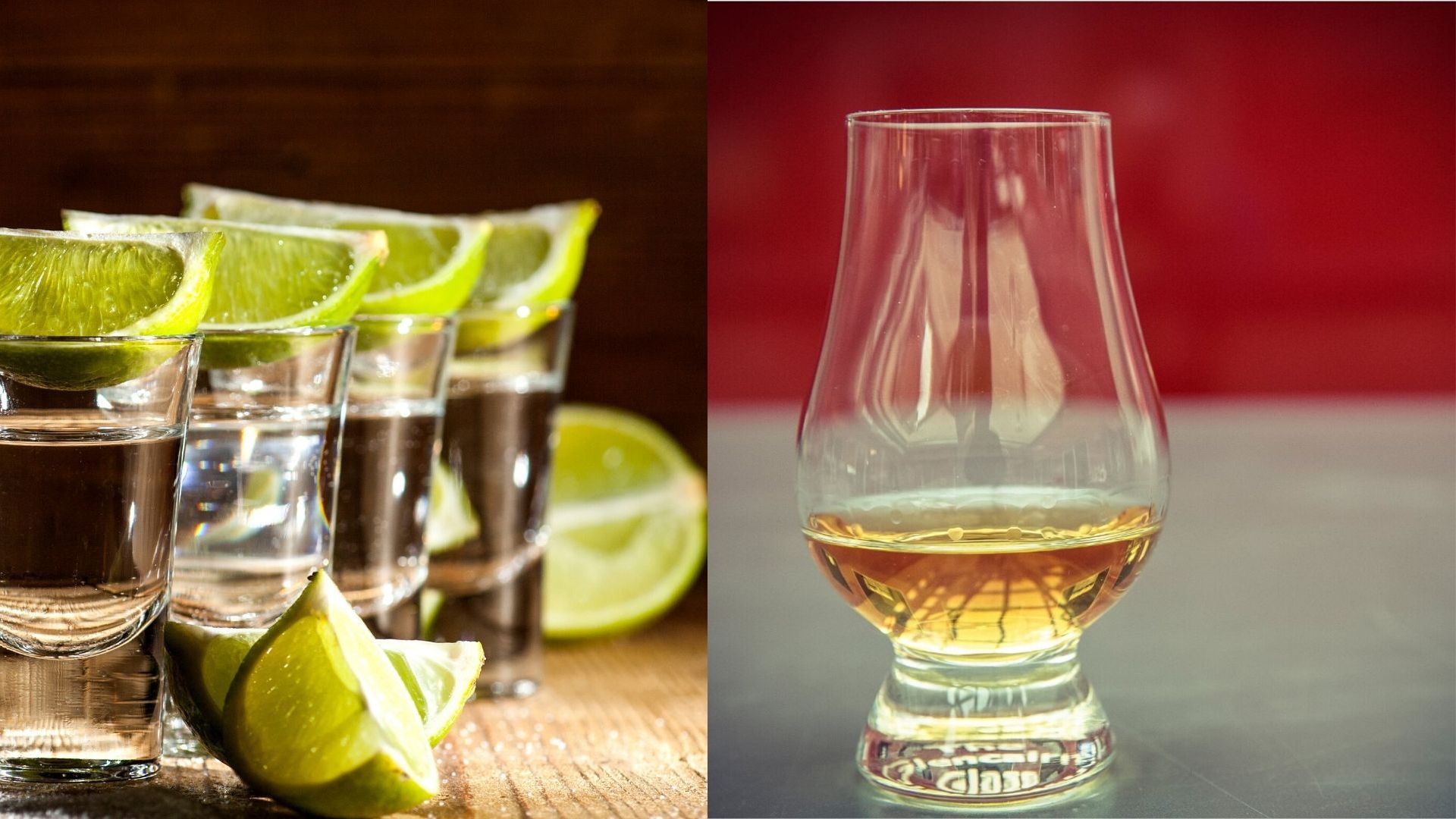 Tequila 101 Discover Tequila DiVino