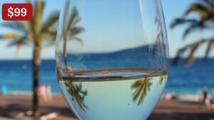 virtual wine tasting island wines